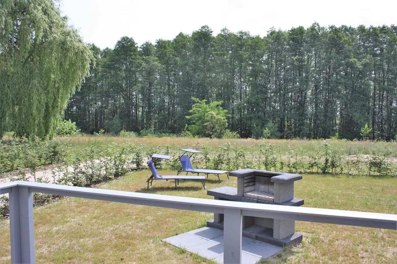 Seeschwalbe Classic 319-View in summer