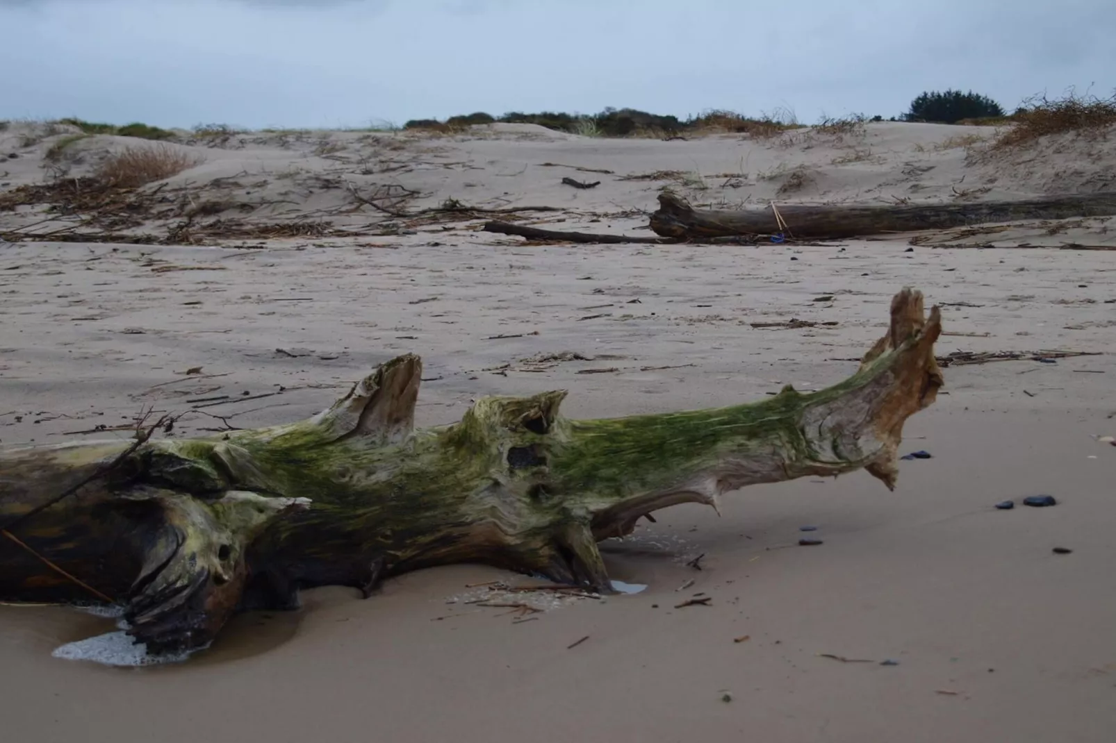 10 person holiday home in Bindslev-By Traum