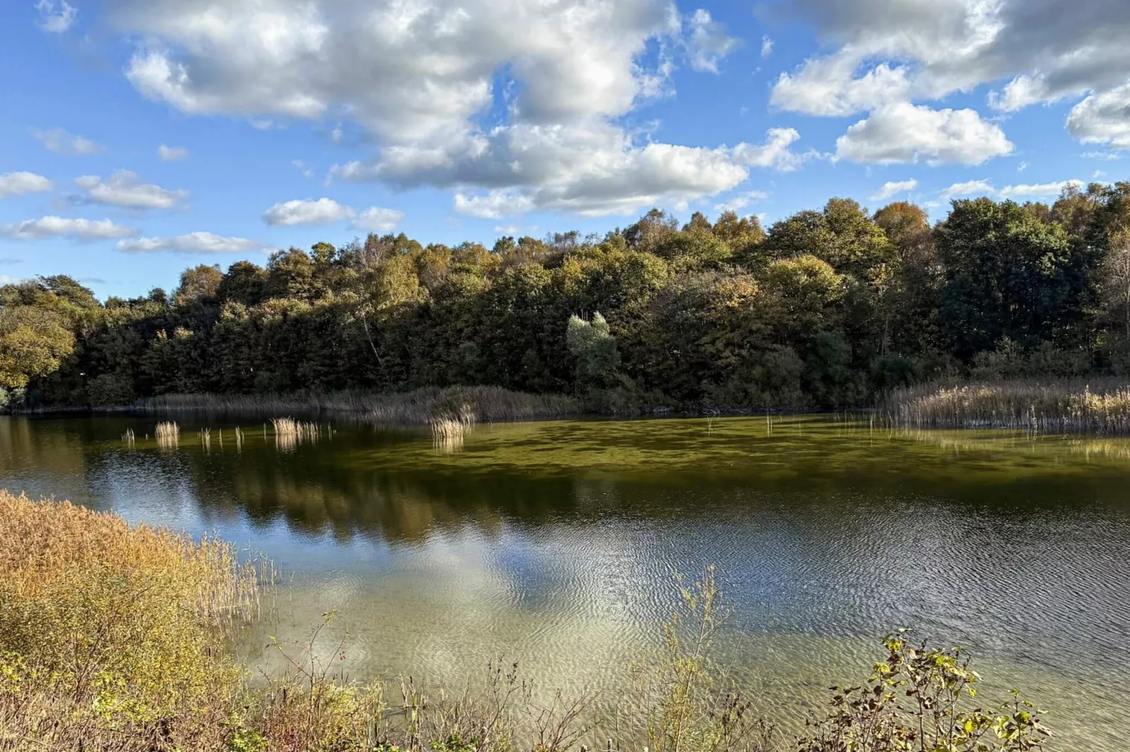 6 Personen Ferienhaus in Borup