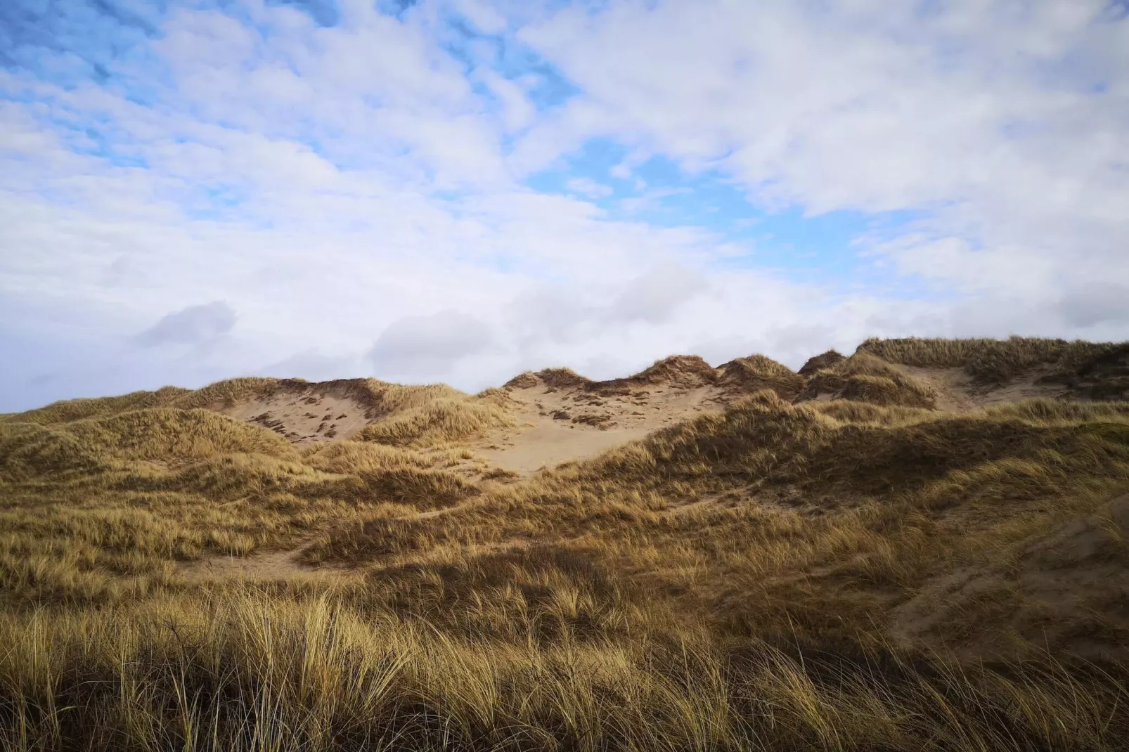 8 Personen Ferienhaus in Bindslev-By Traum-Nicht zugeordnet