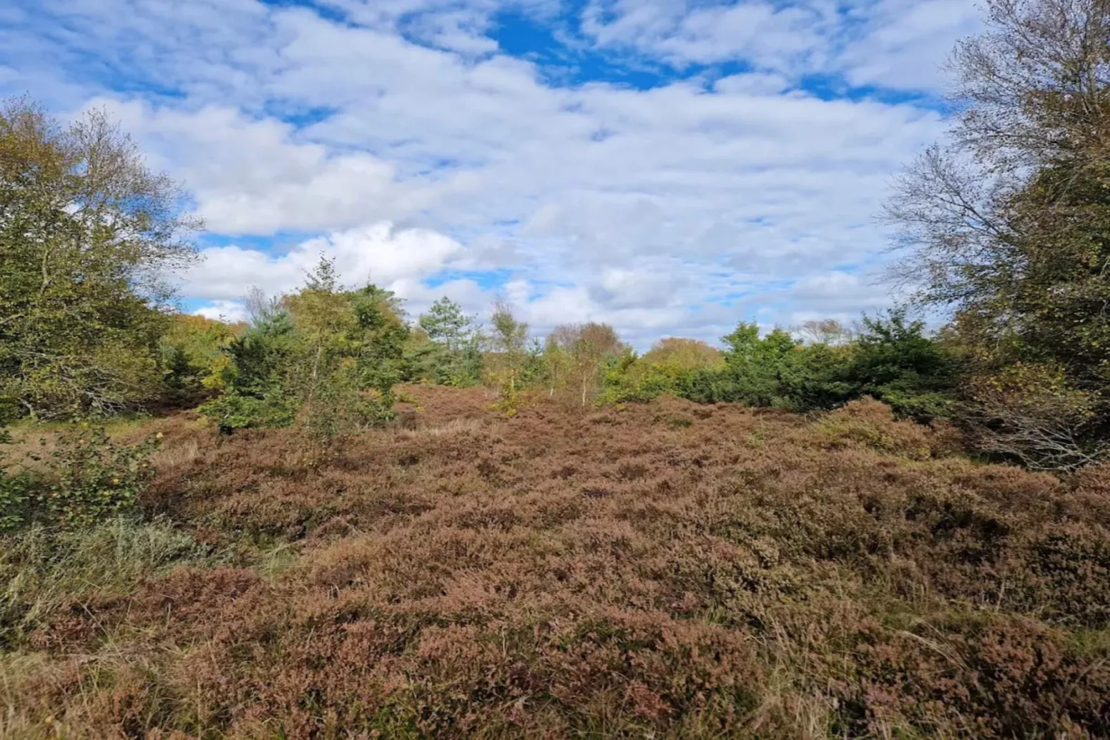 8 person holiday home in Hadsund-By Traum-Untagged