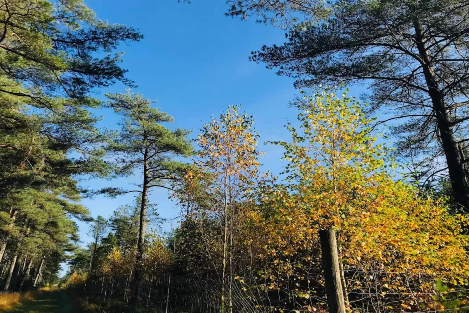 8 person holiday home in Fjerritslev-By Traum