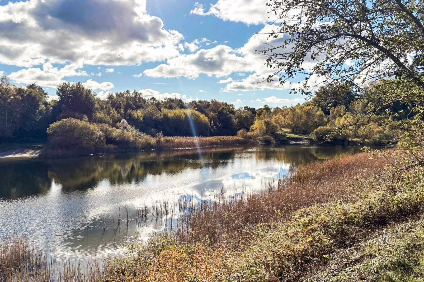 6 Personen Ferienhaus in Borup