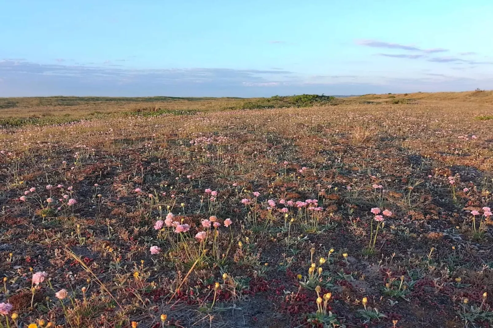 8 person holiday home in Fjerritslev-By Traum-Untagged