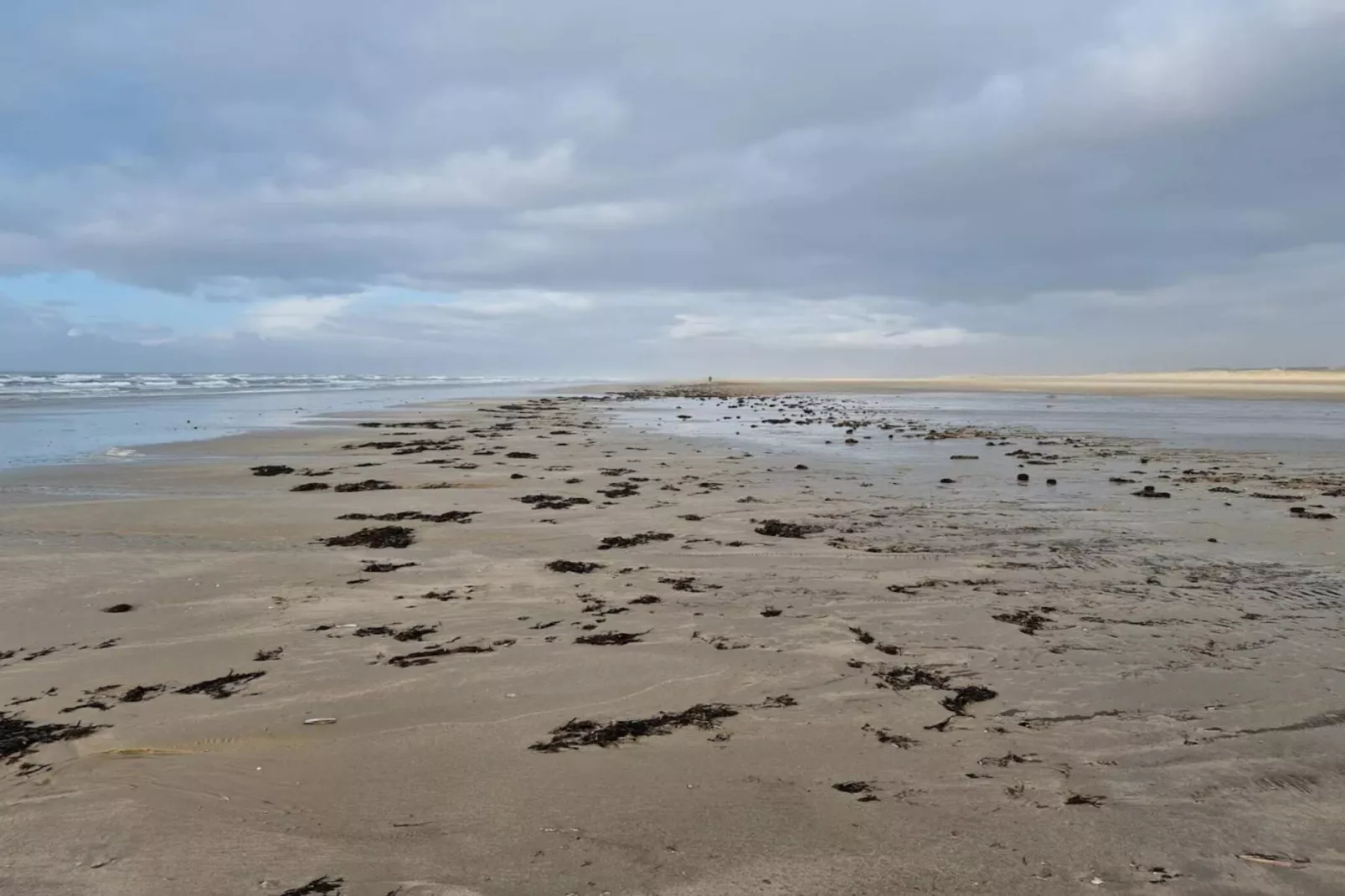 4 Personen Ferienhaus in Fanø-Wasserblick