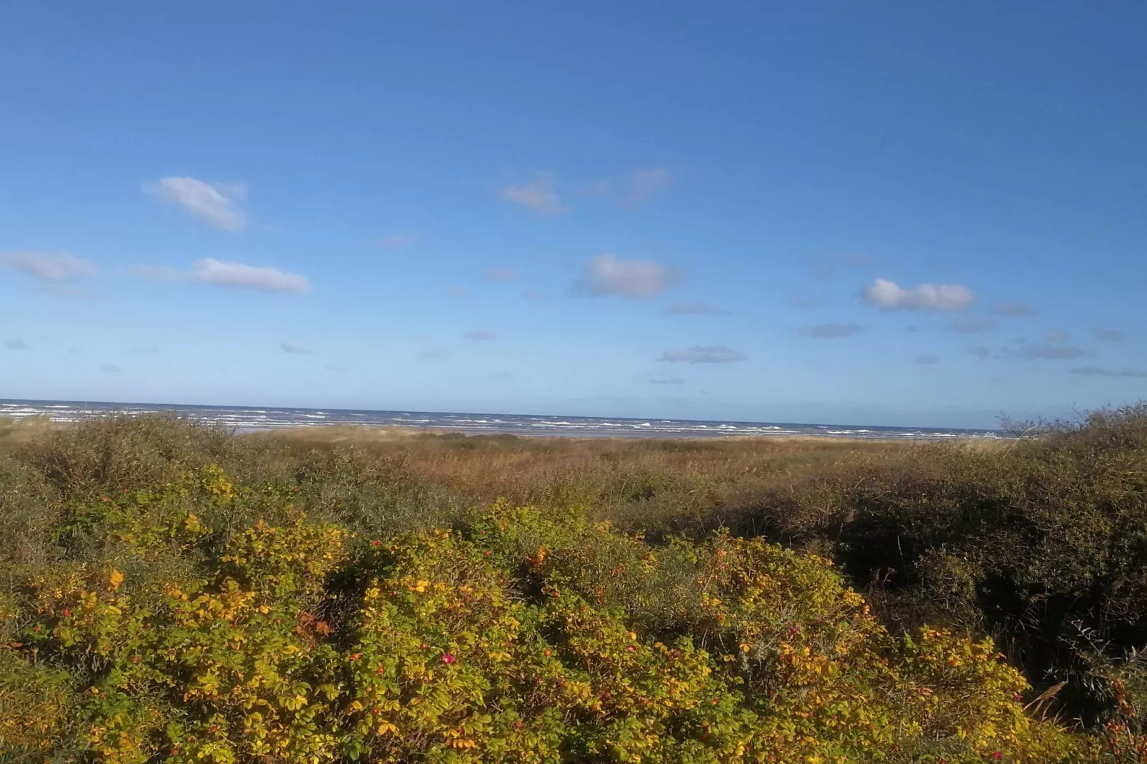 10 person holiday home in Bindslev-By Traum-Untagged