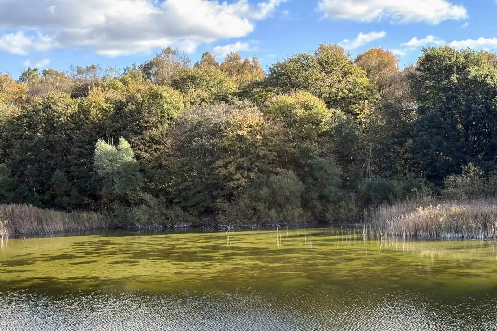 6 Personen Ferienhaus in Borup-Nicht zugeordnet