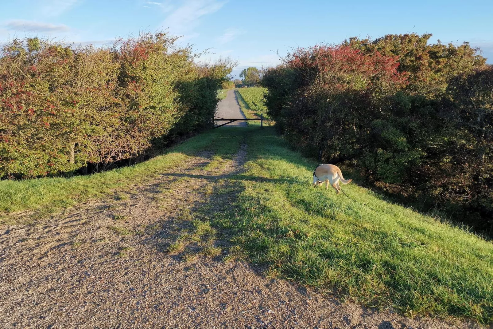 Maison de vacances pour 7 a Rødby-By Traum-Non tagué
