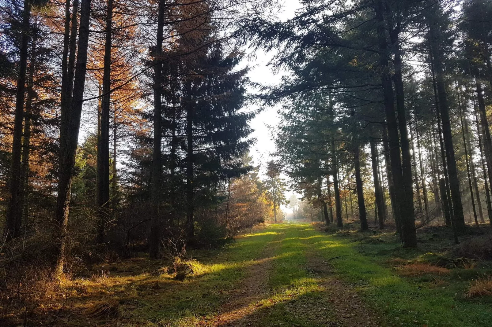 8 person holiday home in Toftlund-By Traum-Untagged