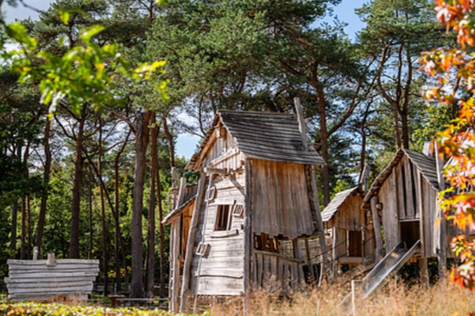 Vakantiepark Molenvelden 11-Exterior in summer