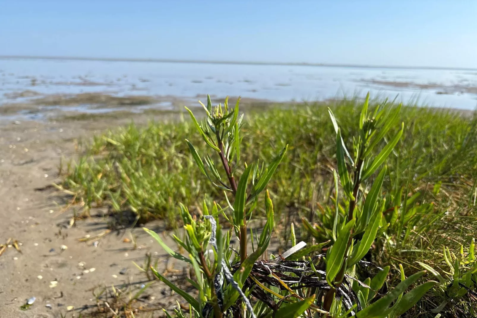 14 person holiday home in Ørsted-By Traum-Water view
