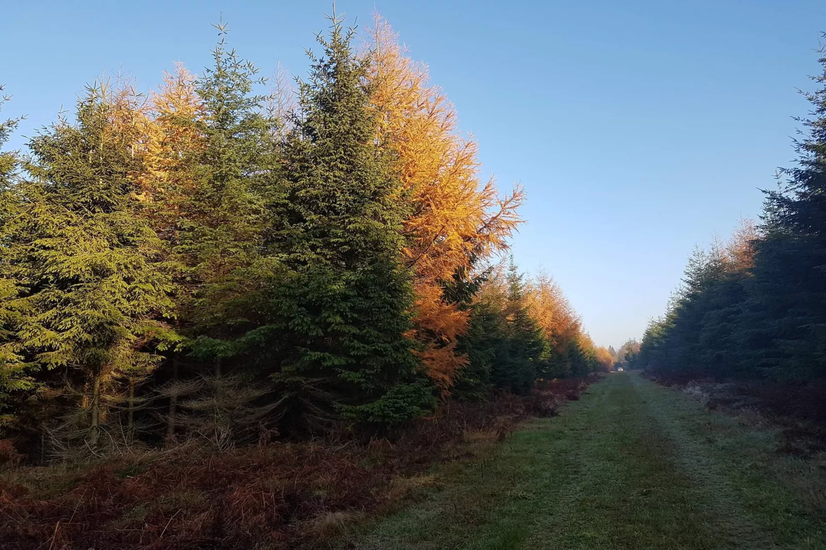 8 person holiday home in Toftlund-By Traum-Untagged