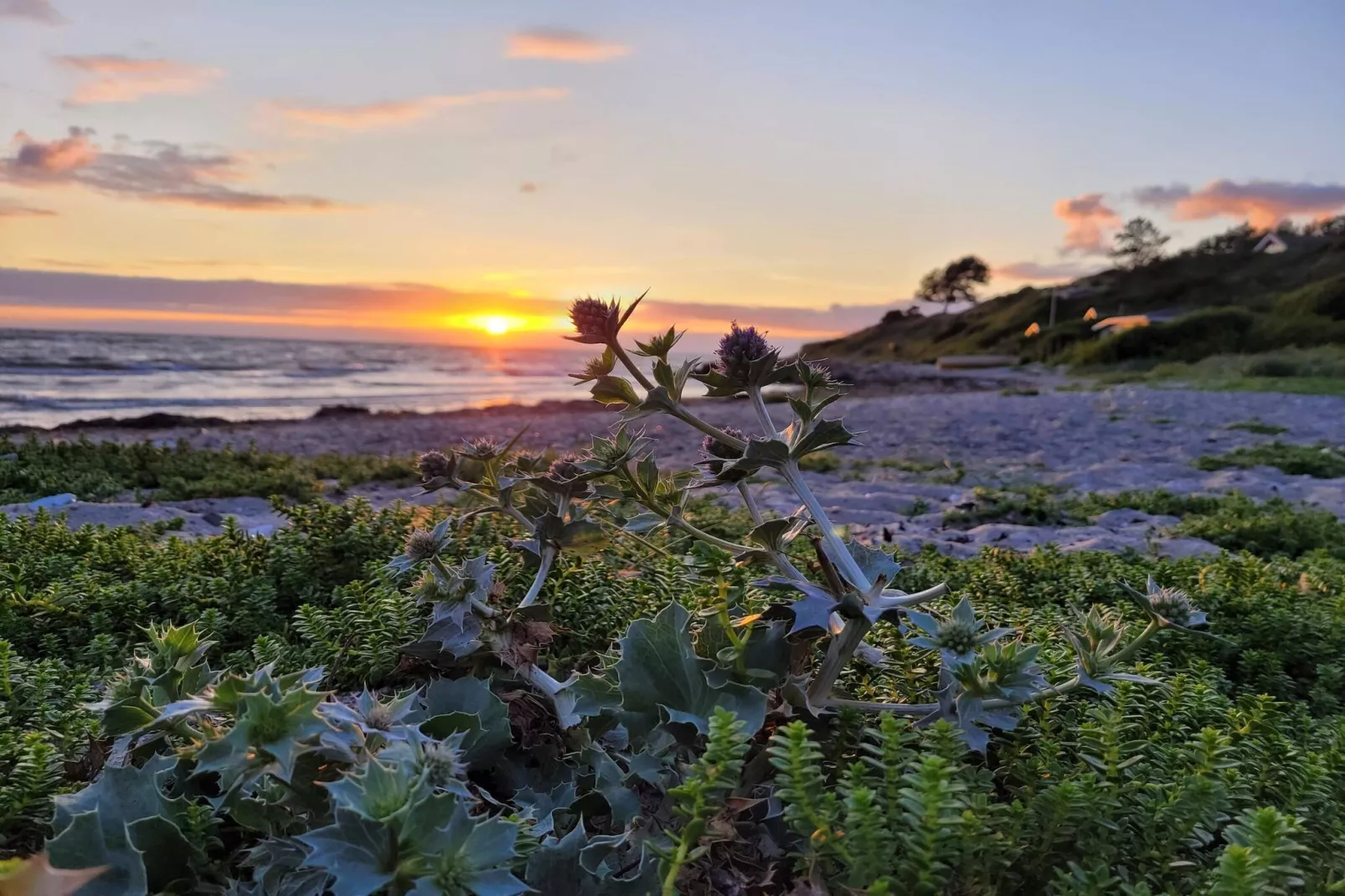 6 Personen Ferienhaus in Slagelse-Wasserblick