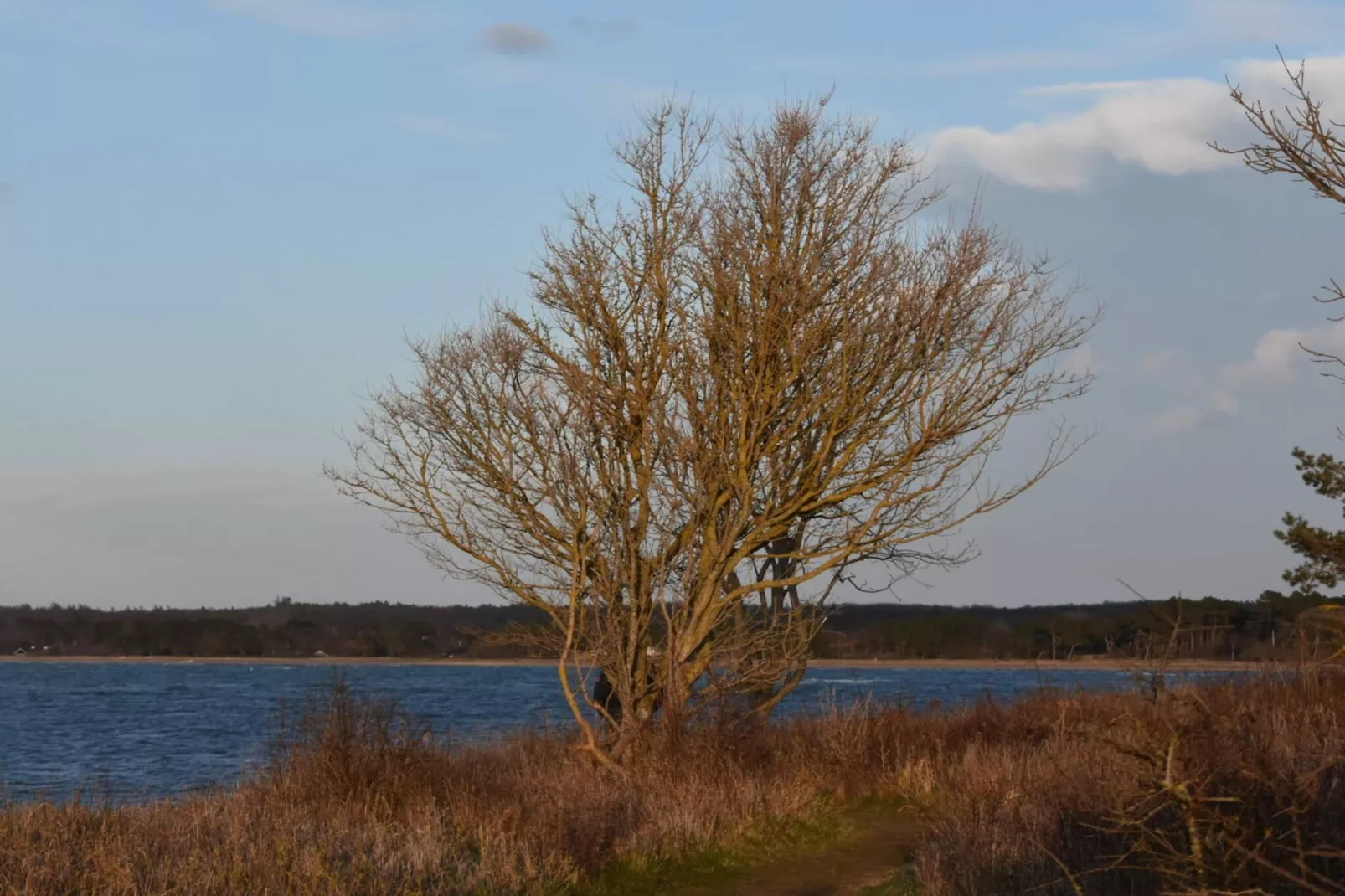 7 person holiday home in Asnæs-By Traum-Water view