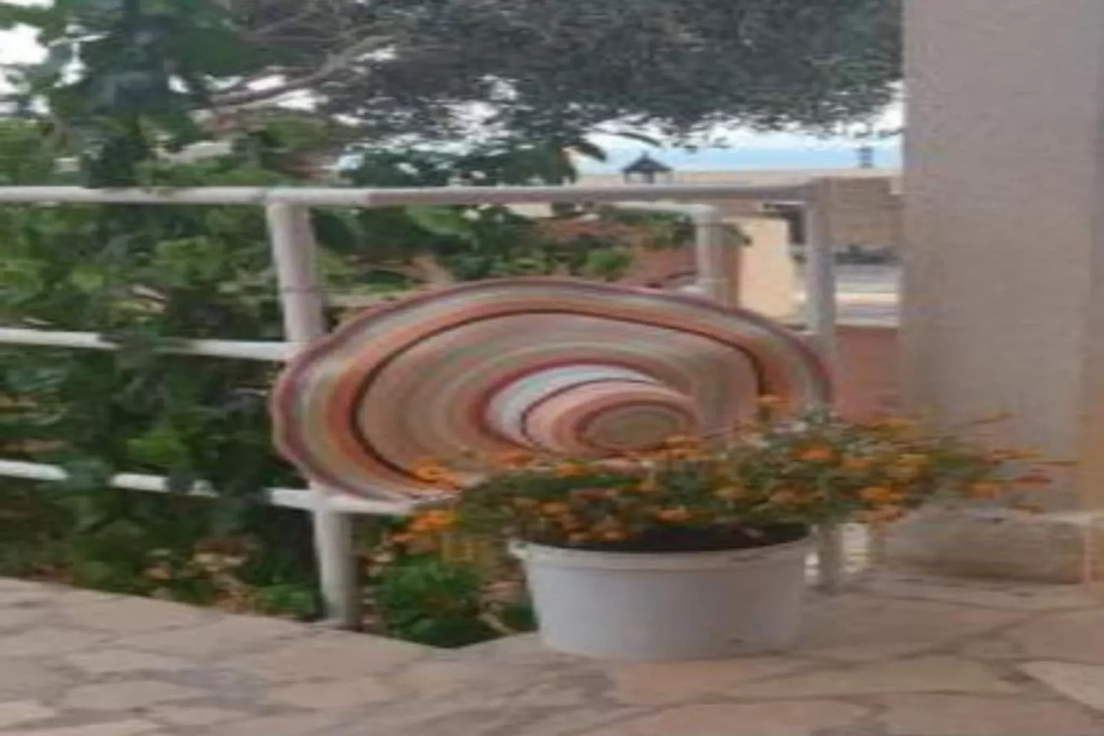 Apartments Lucija - Studio-Ambiance