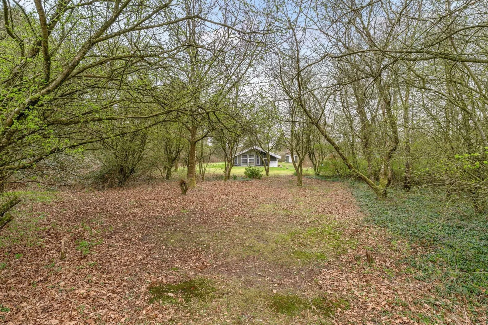 5 person holiday home in Ansager-View