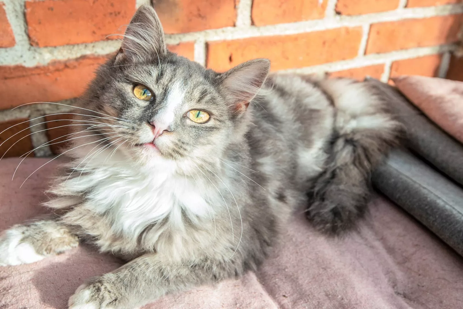 4 Personen Ferienhaus in Højer-Innenbereich