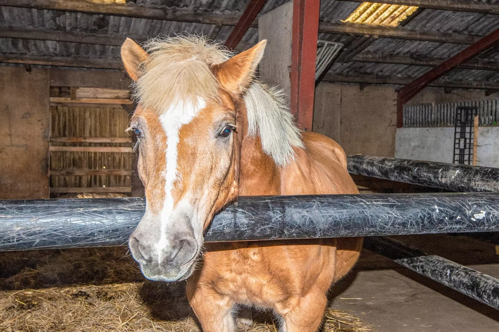 4 Personen Ferienhaus in Højer-Nicht zugeordnet