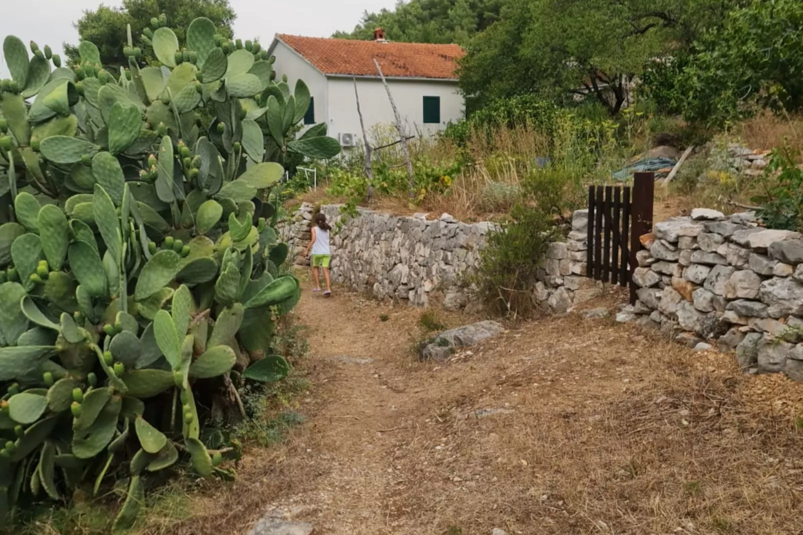 Apartments Stiniva Hvar - One Bedroom Apartment With Terrace (A1)-Outdoor