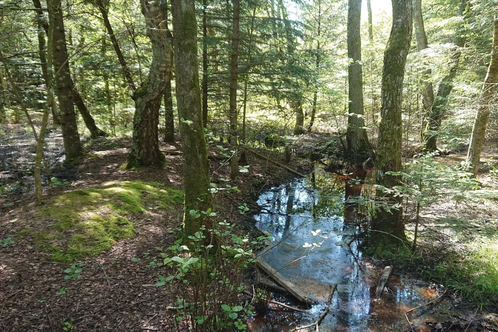 10 person holiday home in Bindslev-By Traum-Water view