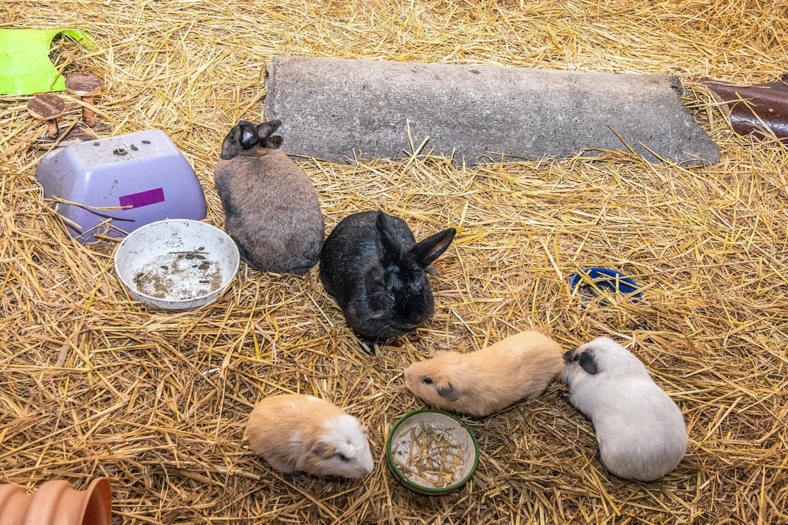 4 Personen Ferienhaus in Højer-Innenbereich