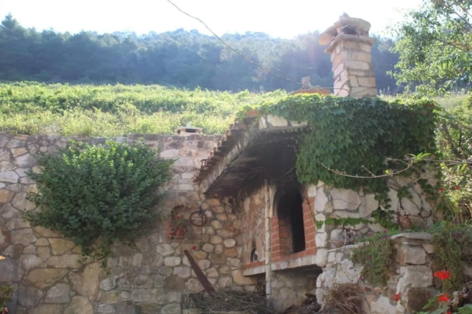 Apartments Stiniva Hvar - One Bedroom Apartment With Terrace (A1)-Outdoor