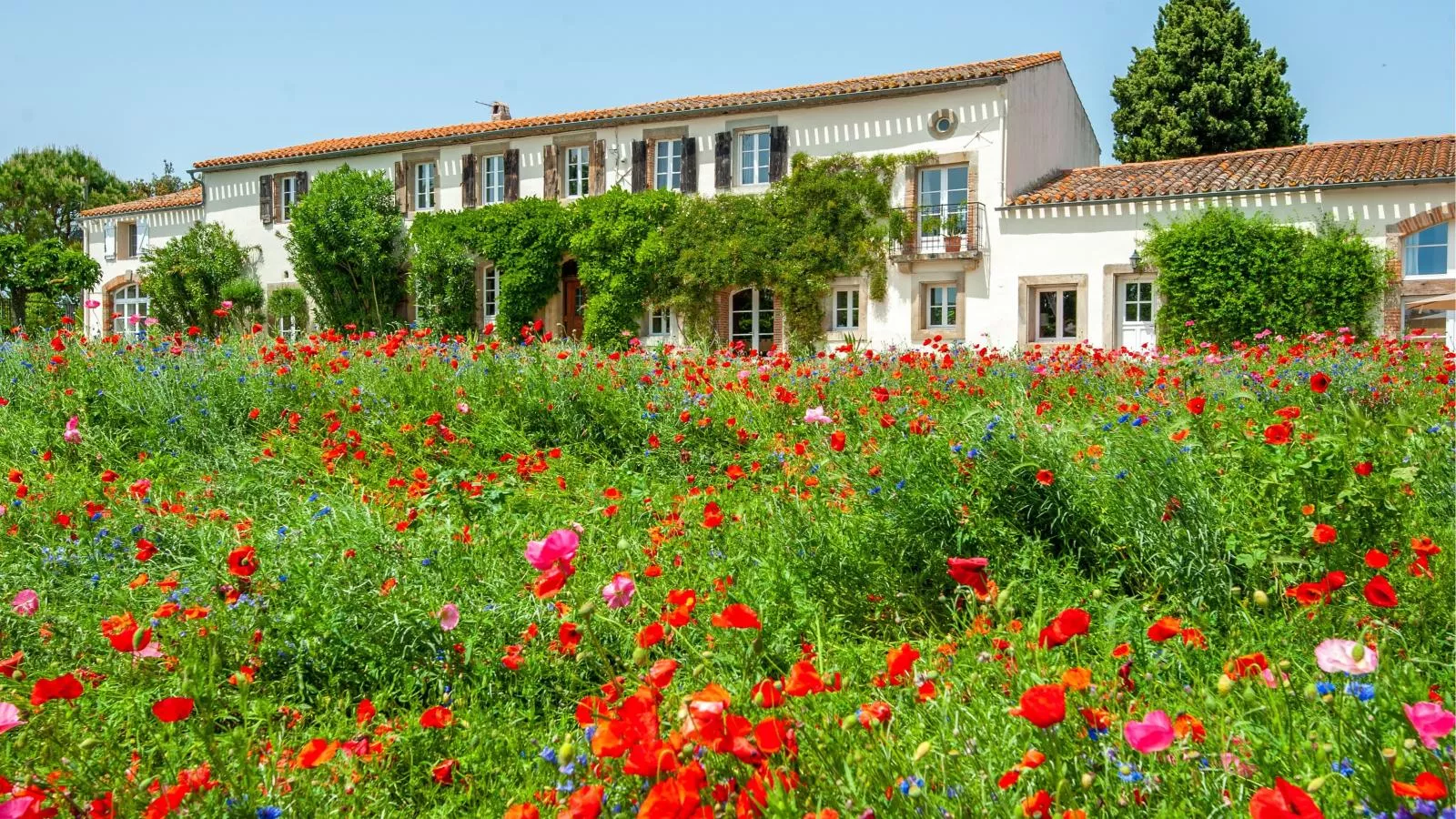 Manoir de Montréal - West Wing-Exterior in summer