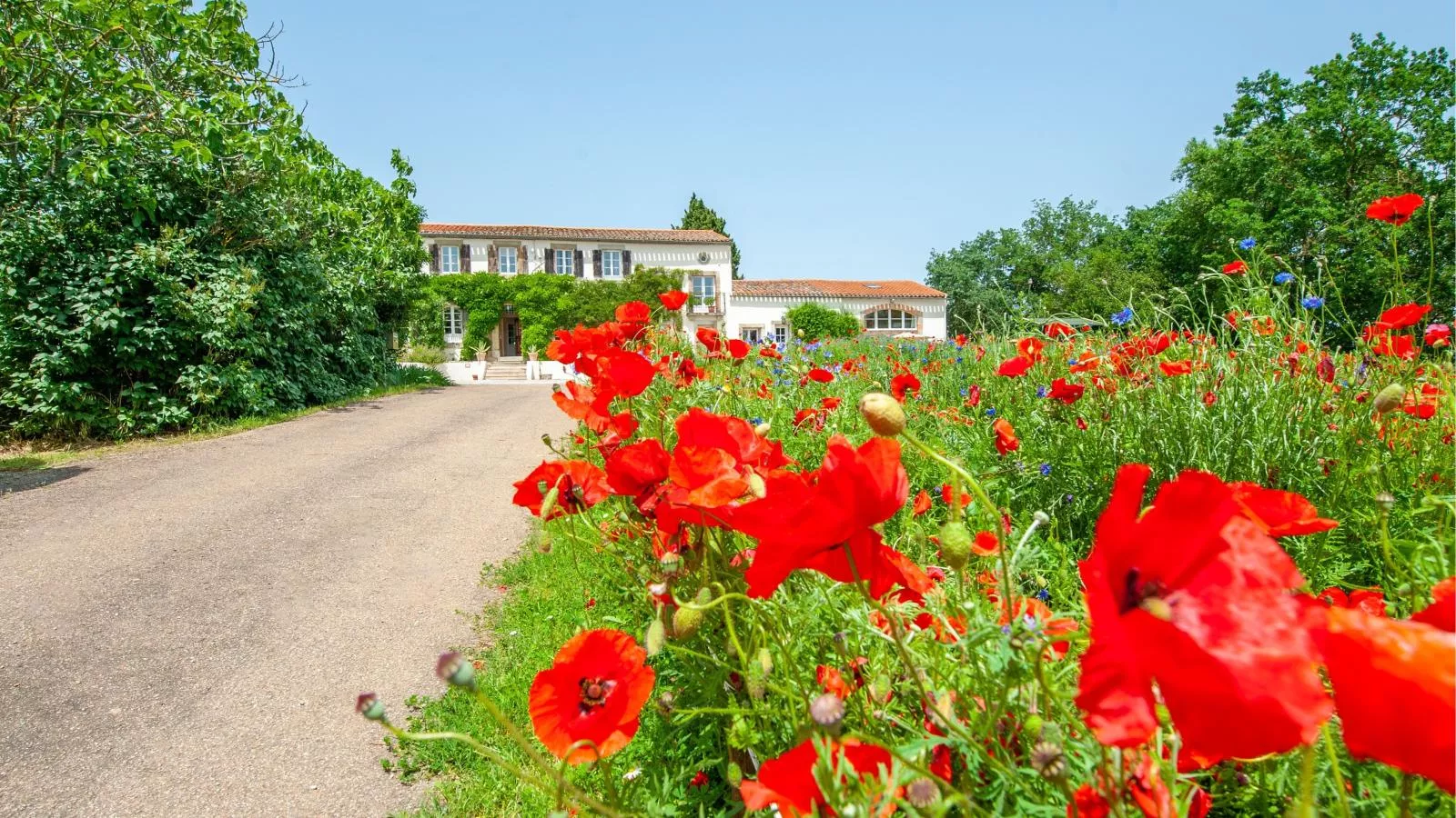 Manoir de Montréal - West Wing-Exterior in summer