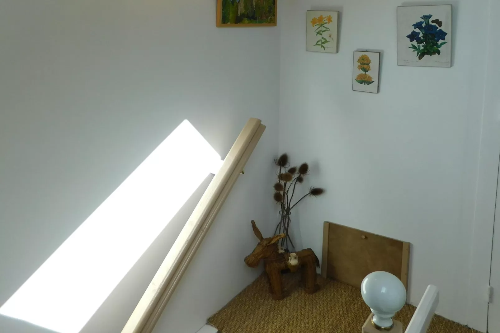 Petite Plaisance-Ambiance