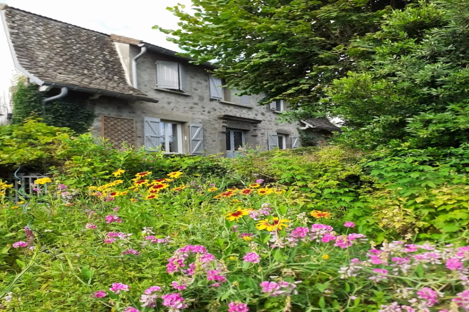 Petite Plaisance-Gardens in summer