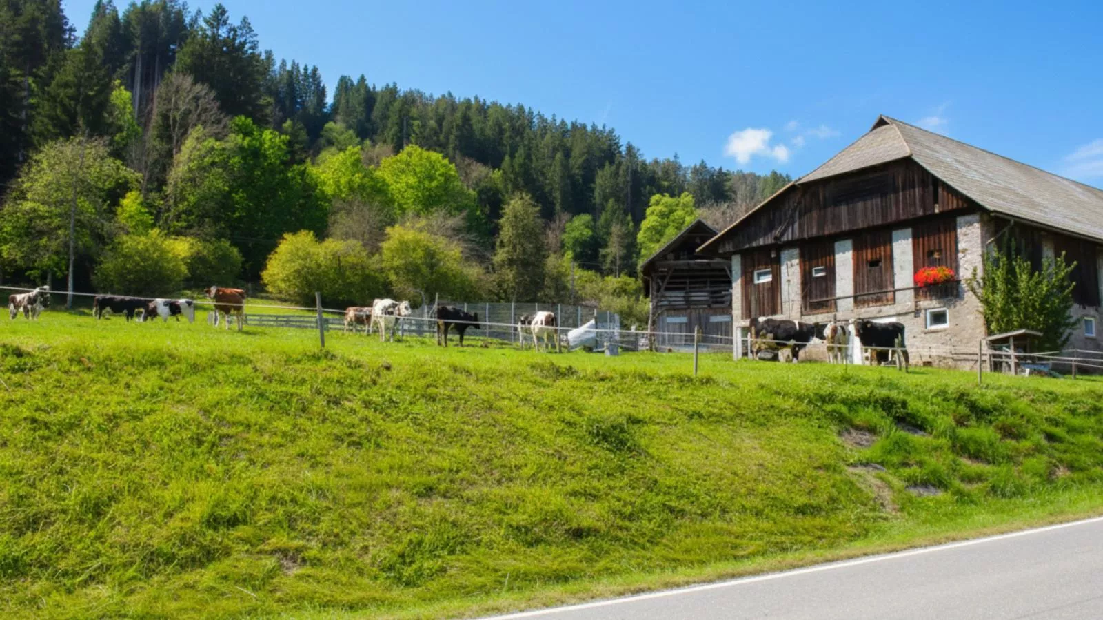 Obermöschach 5A-Areas within 5km in summer