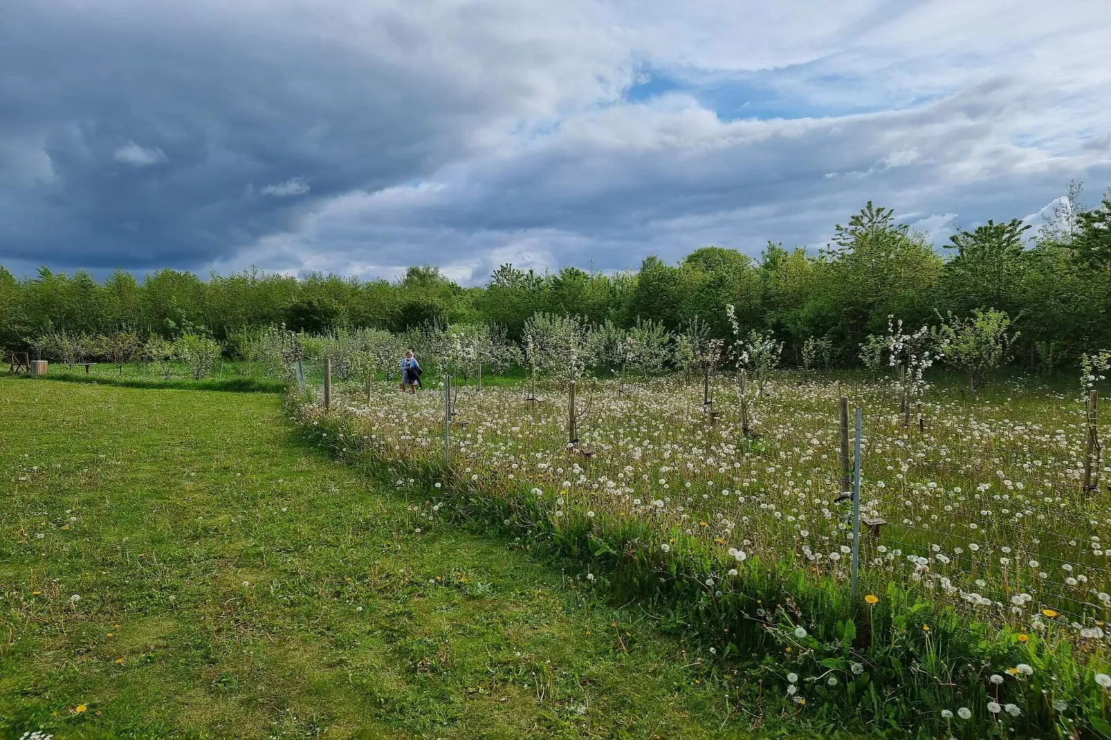 Seaside Charm in Aabenraa - By Traum Ferienwohnungen-Untagged