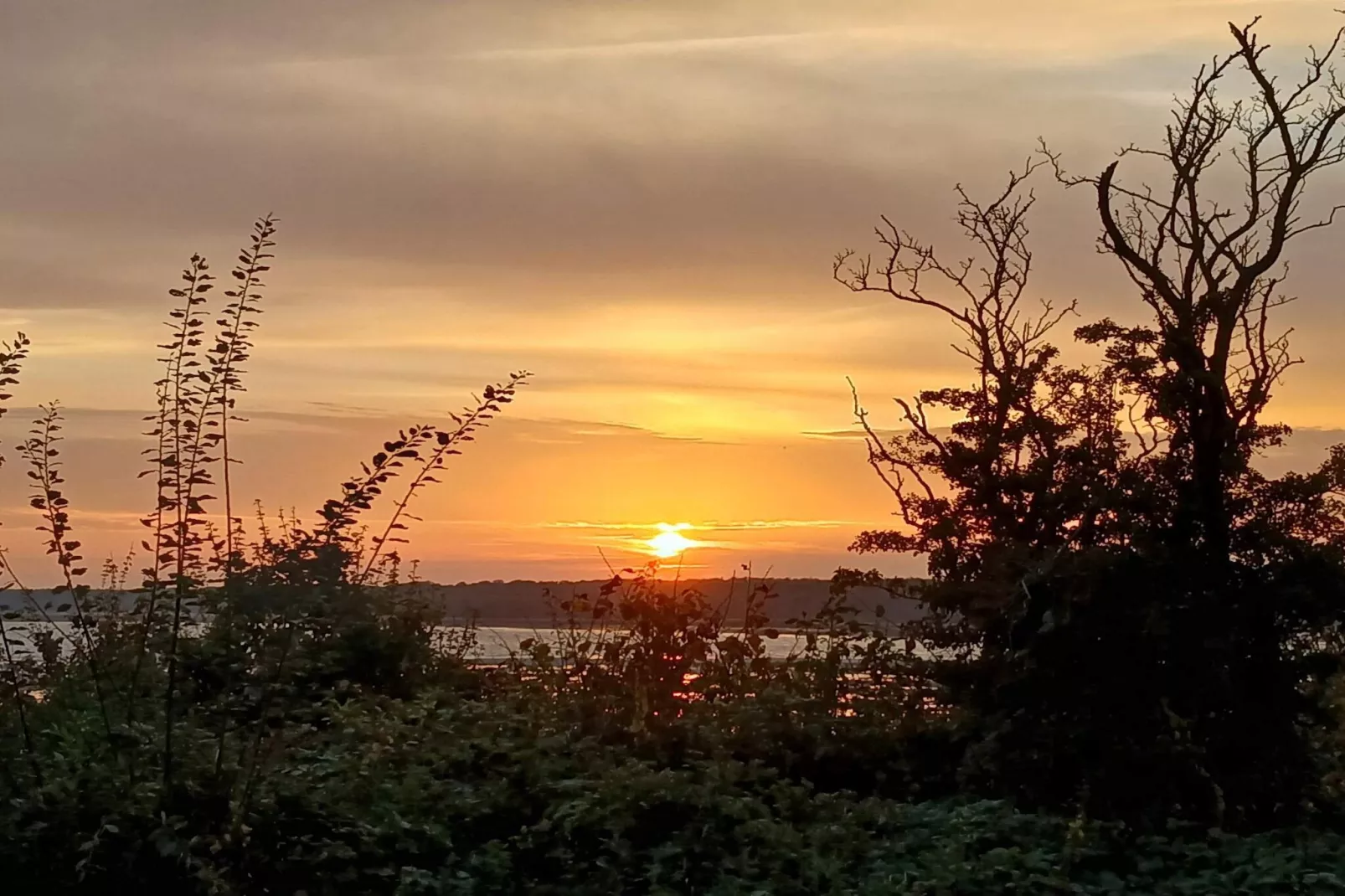 8 person holiday home in Ølsted-By Traum-Untagged