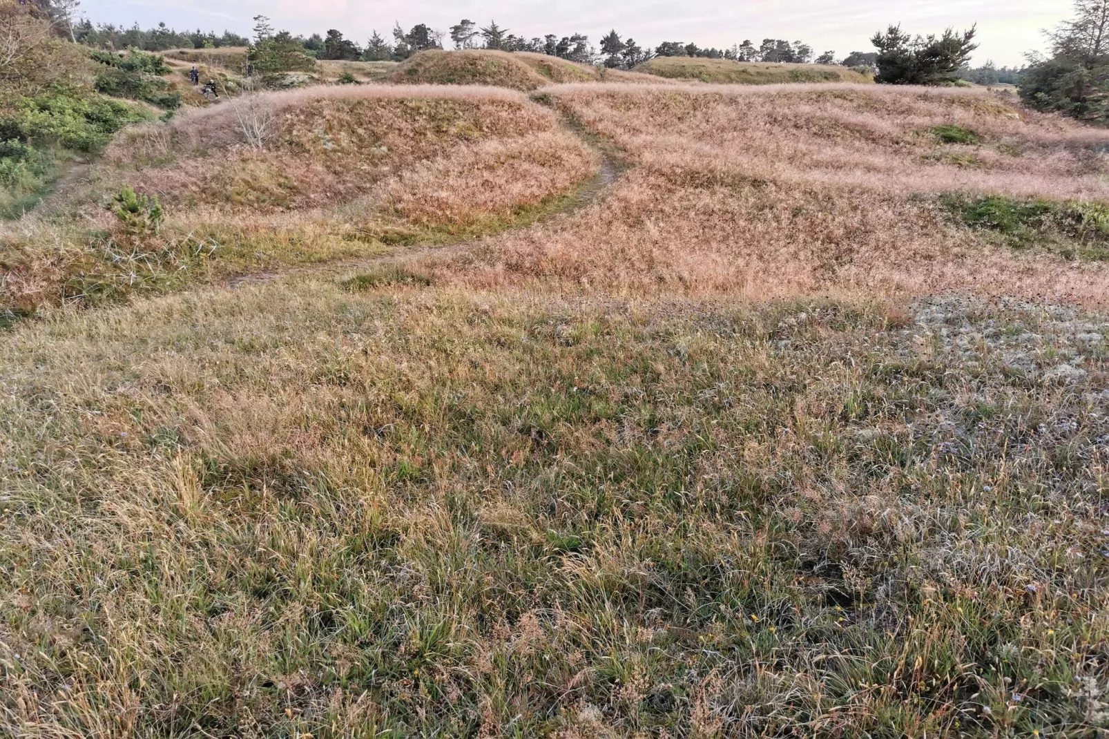 Maison de vacances pour 6 a Frederikshavn-By Traum