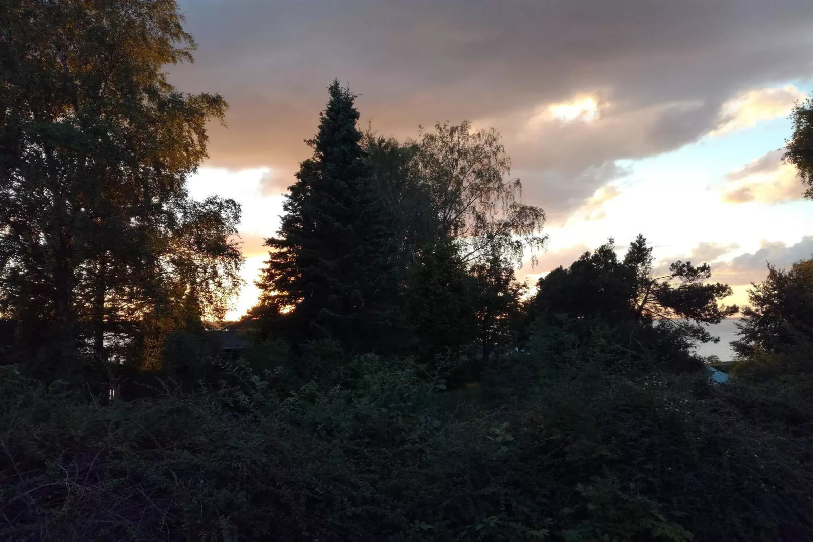 8 person holiday home in Ølsted-By Traum-Untagged