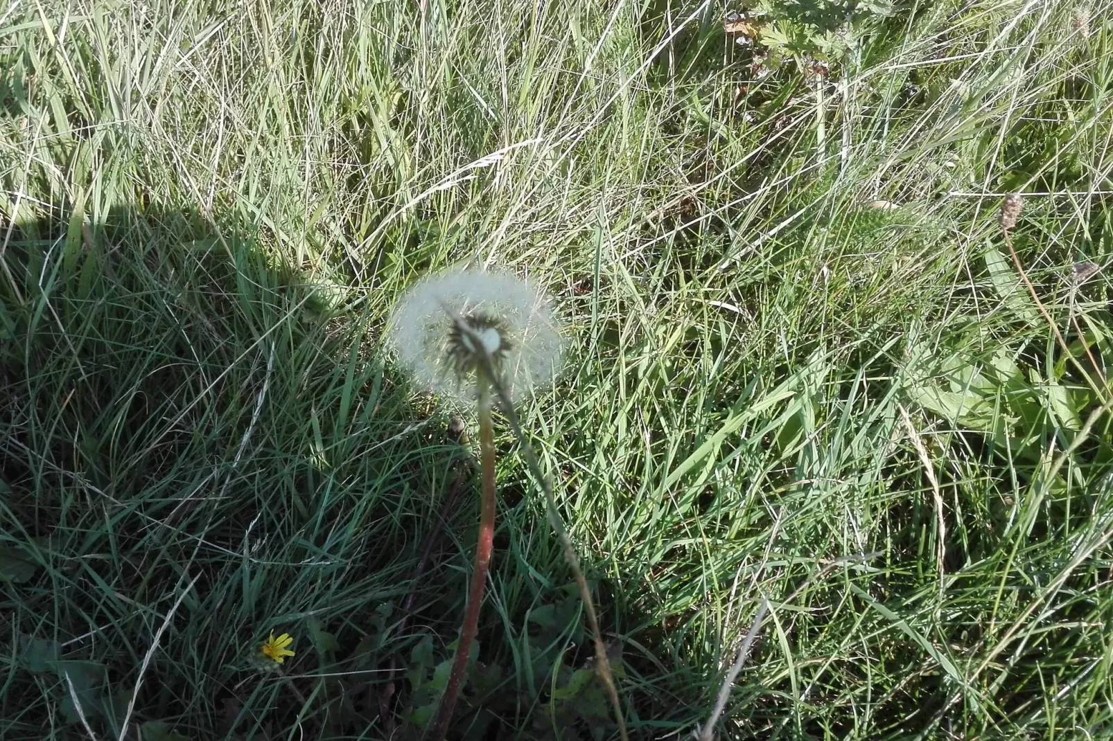 Maison de vacances pour 7 a Bredebro-By Traum-Non tagué