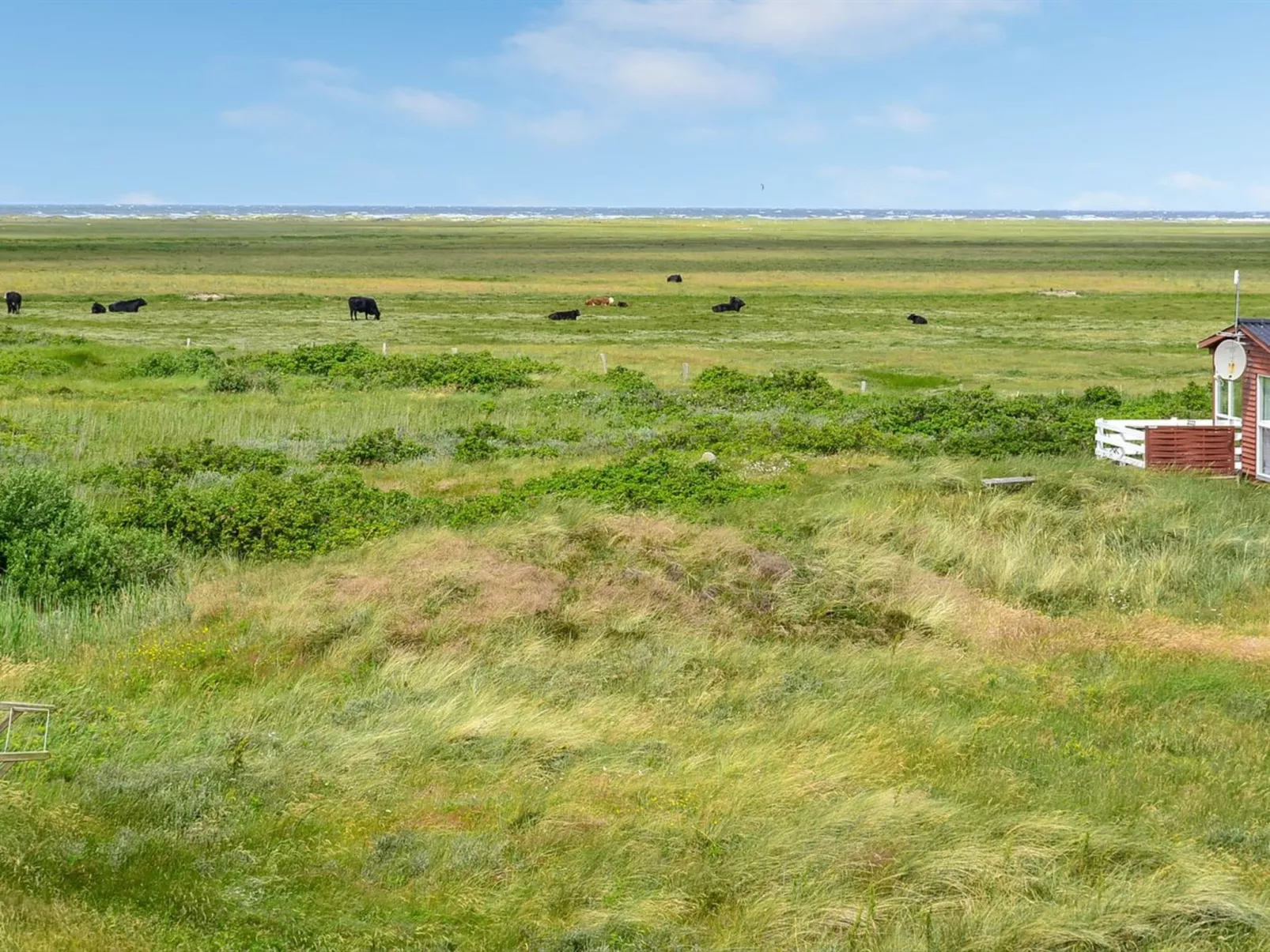 "Mortensen" - 350m from the sea-Dehors