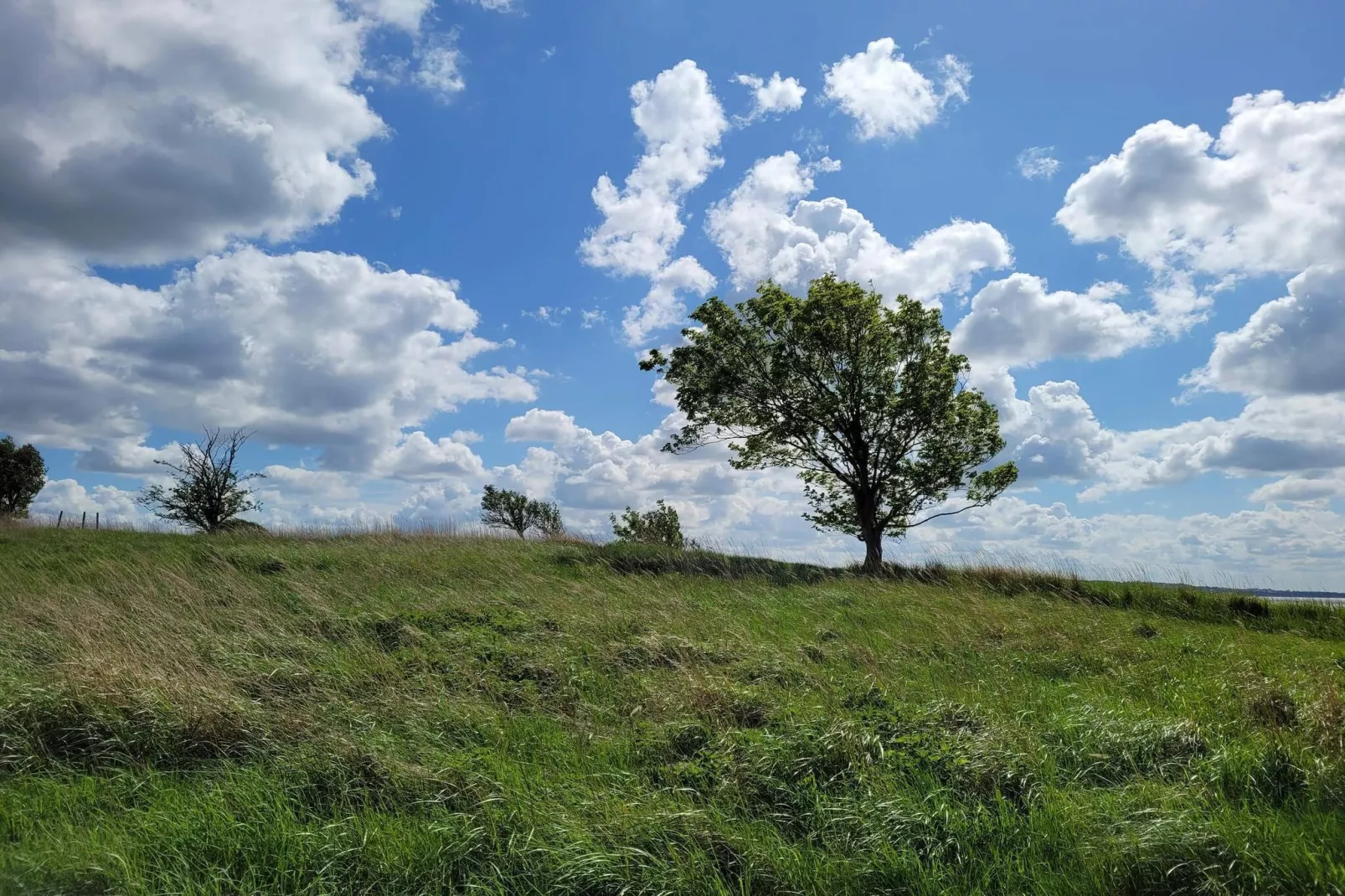 8 person holiday home in Ølsted-By Traum-Untagged