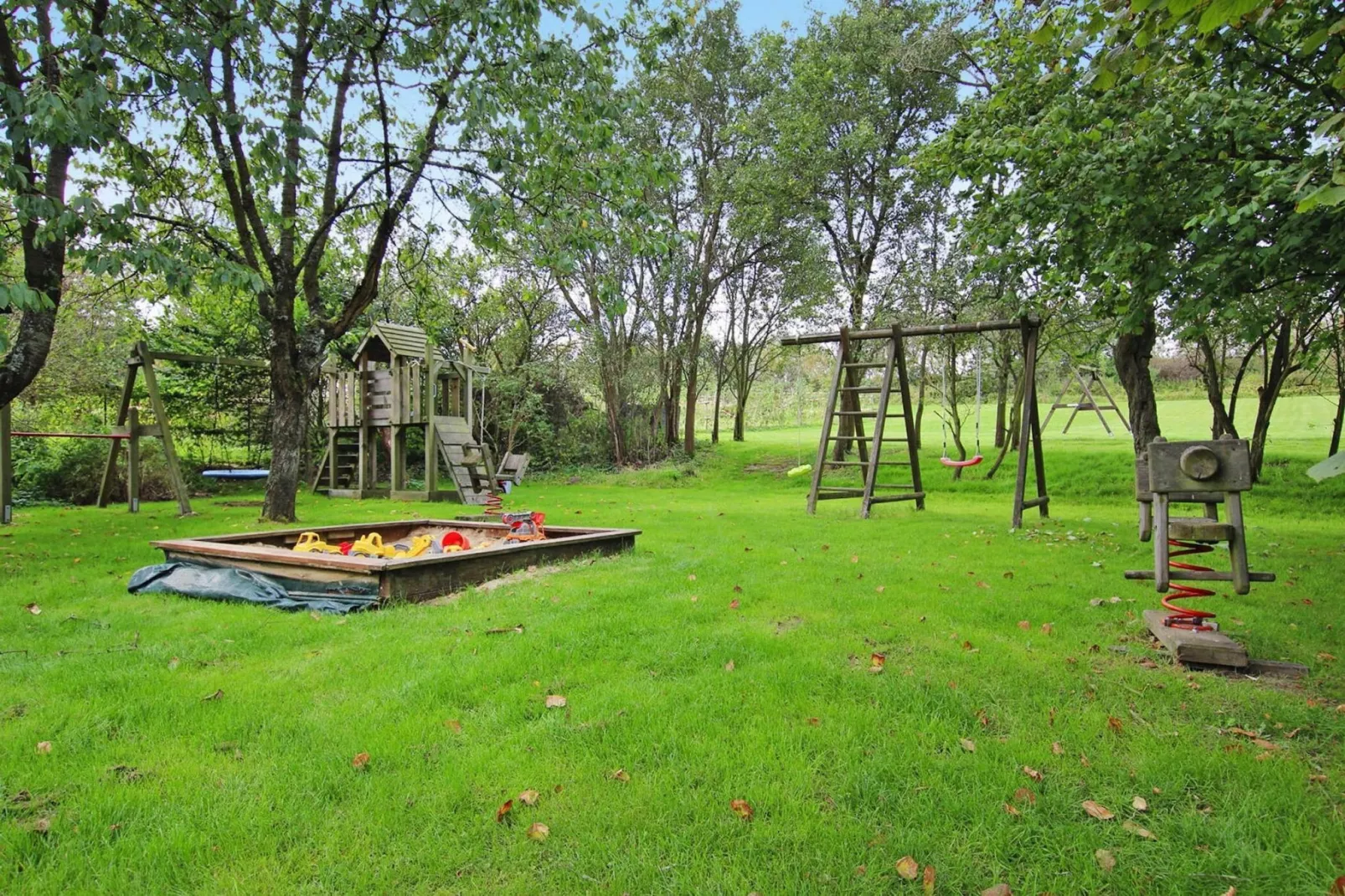Ferienhaus Gänseblümchen-Garten Sommer