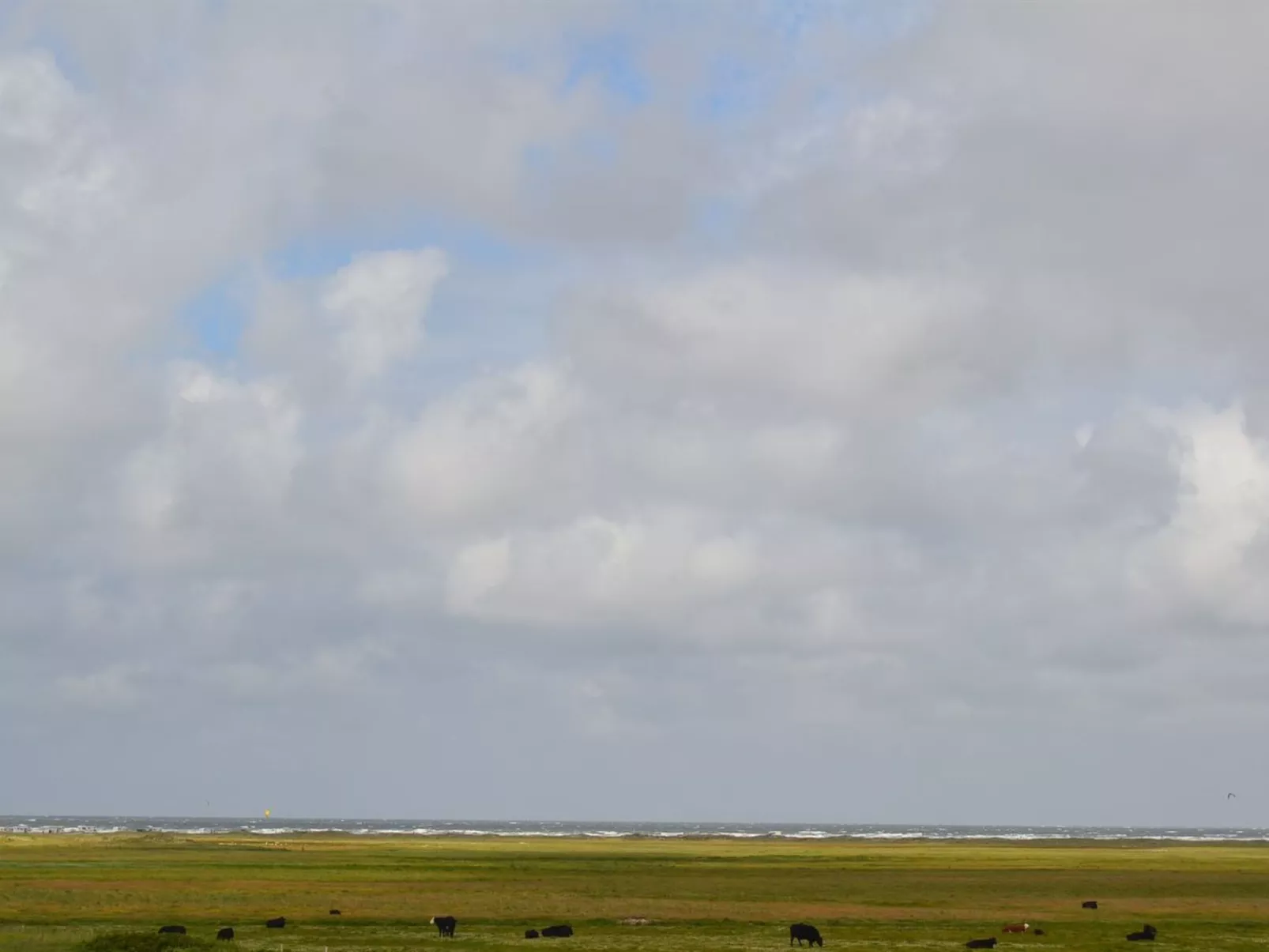 "Mortensen" - 350m from the sea-Dehors