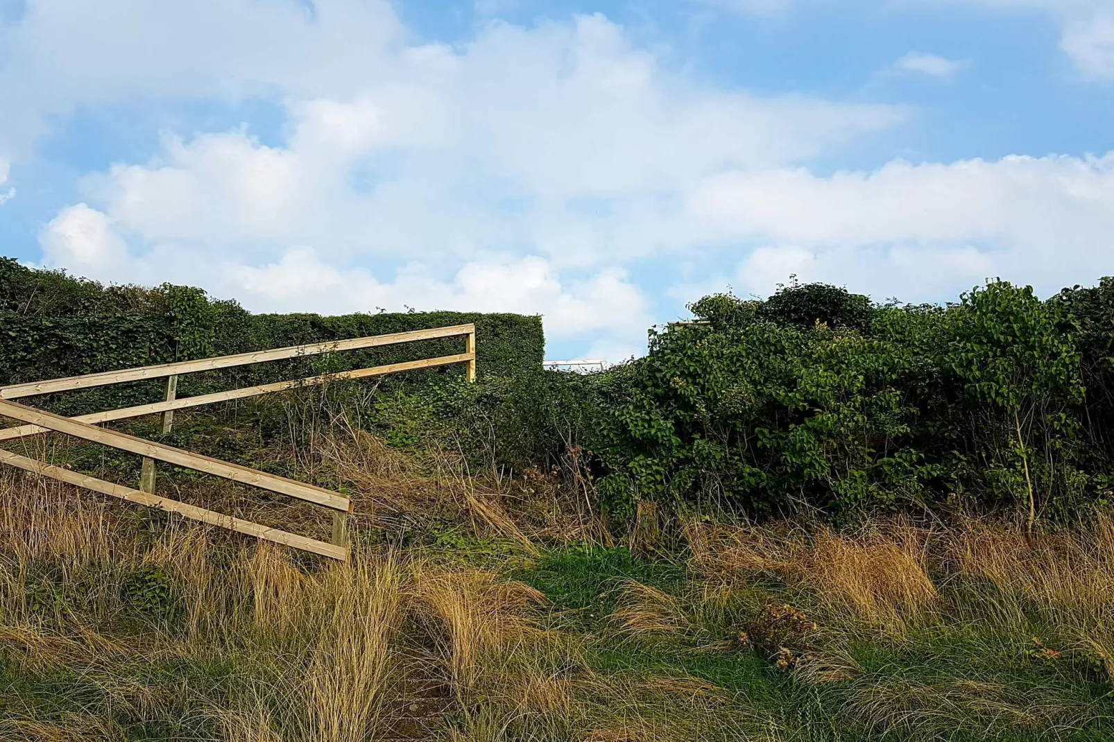 8 person holiday home in Ølsted-By Traum-Untagged