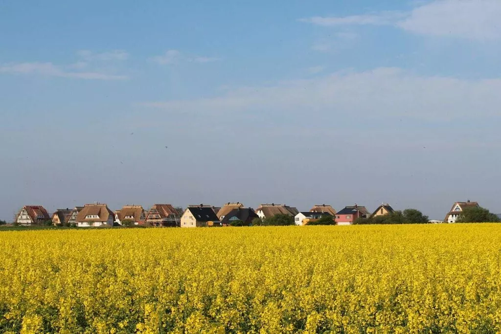 295768-Nicht zugeordnet