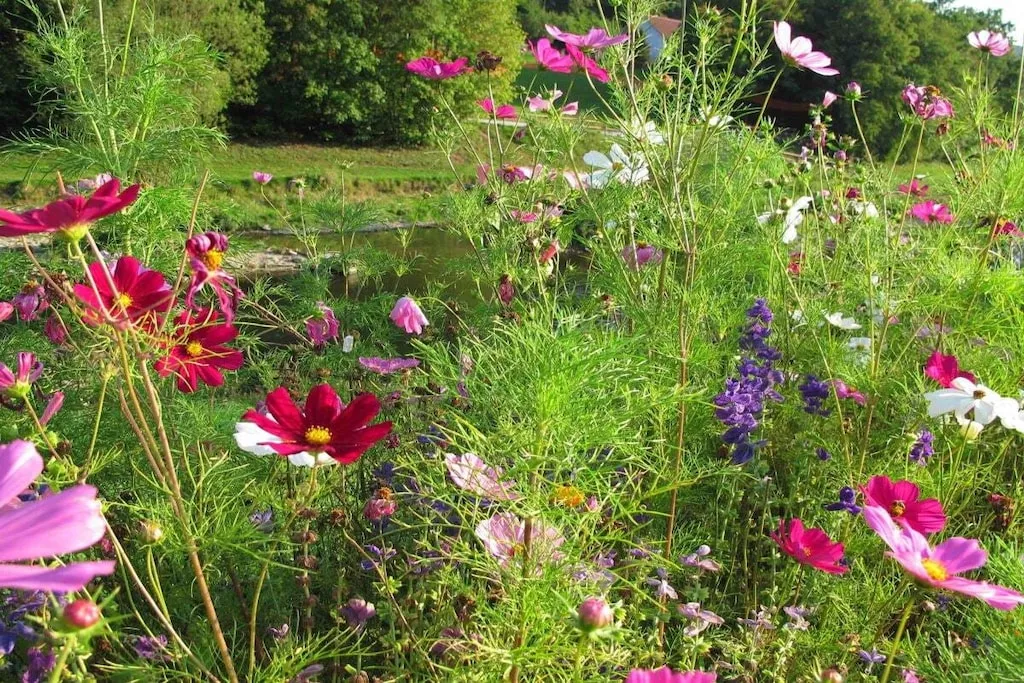 13478-Nicht zugeordnet