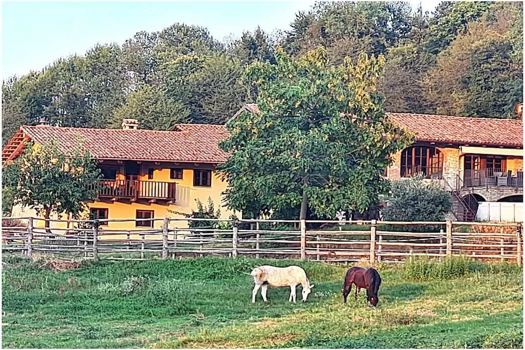 633964-Nicht zugeordnet