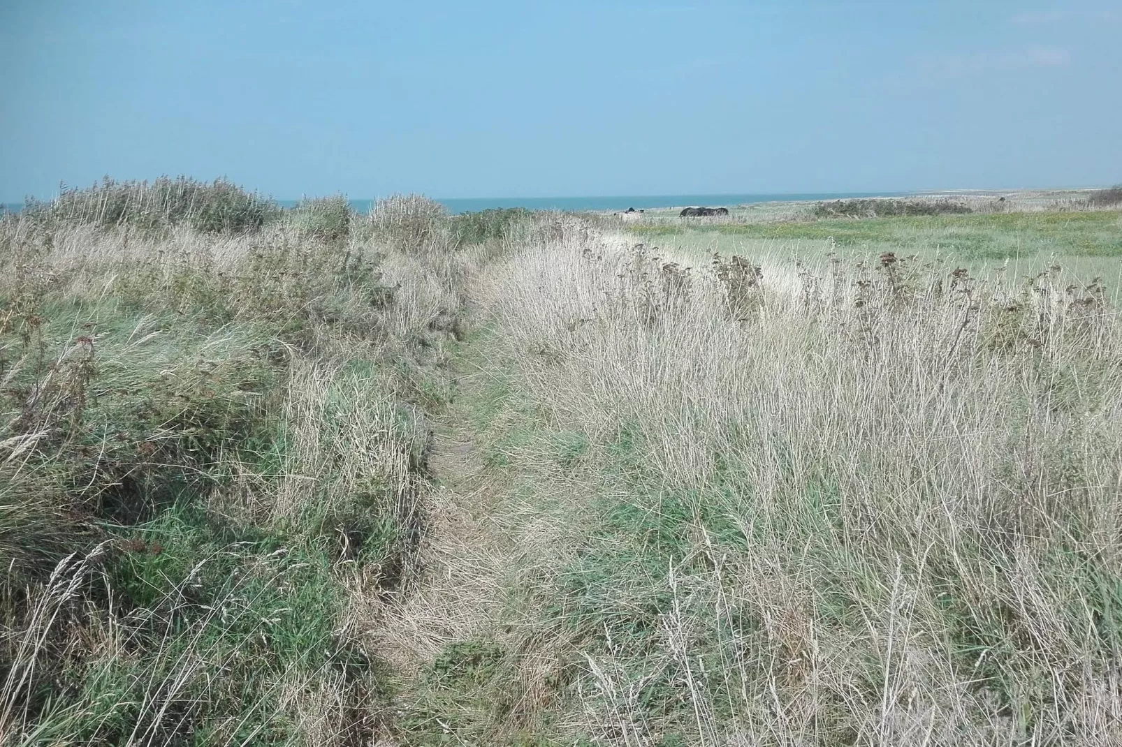 Maison de vacances pour 7 a Bredebro-By Traum-Non tagué