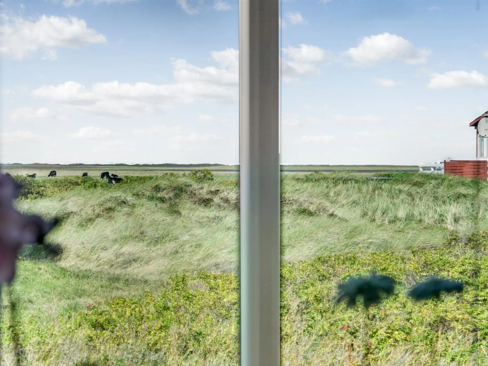 "Mortensen" - 350m from the sea-Dehors