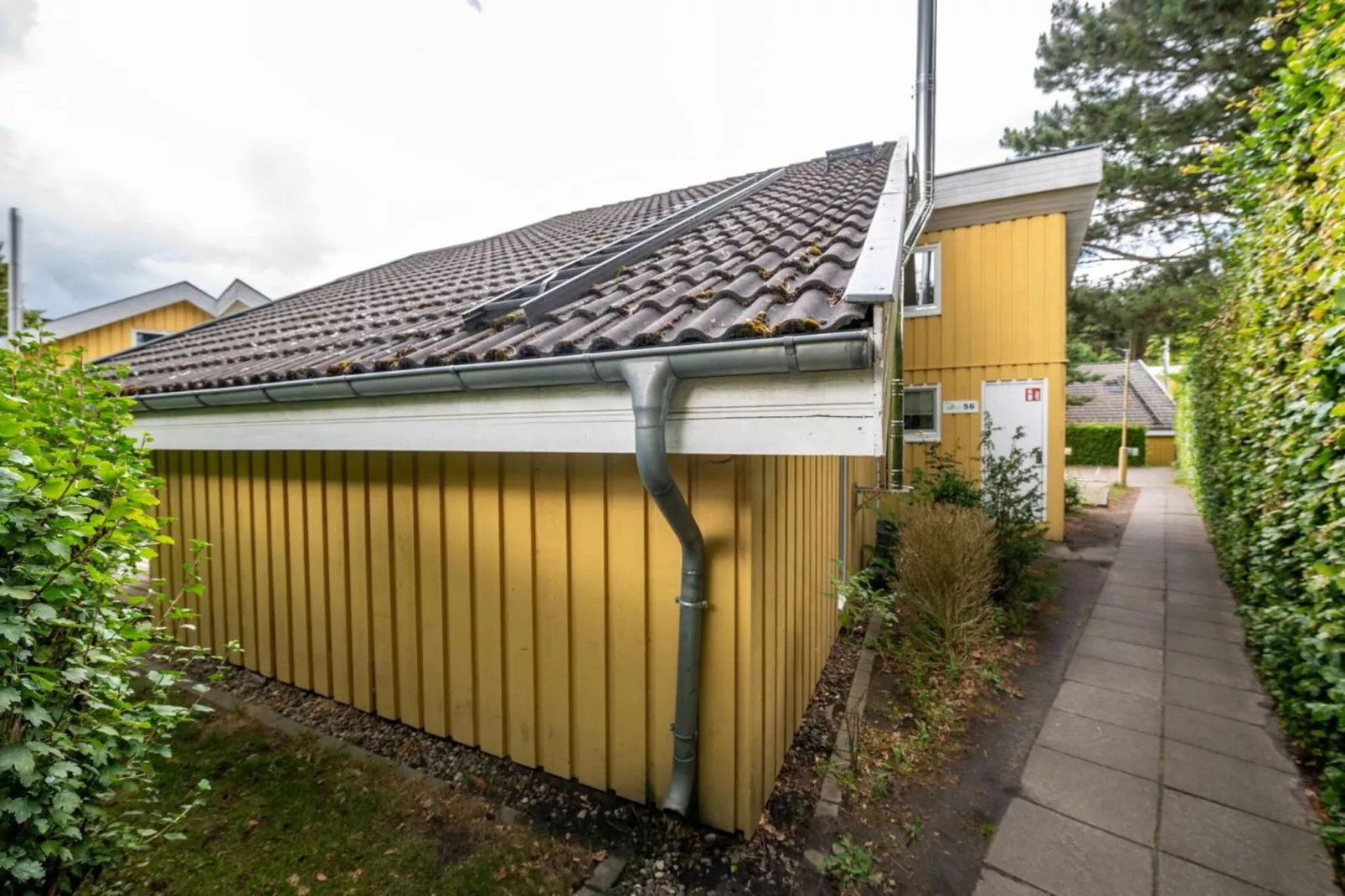 FH Wildgans Comfort Nr56-Extérieur été