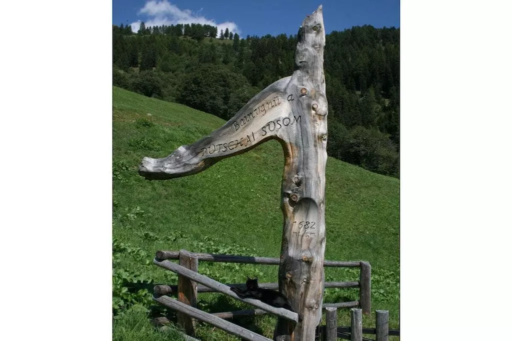 31143-Nicht zugeordnet