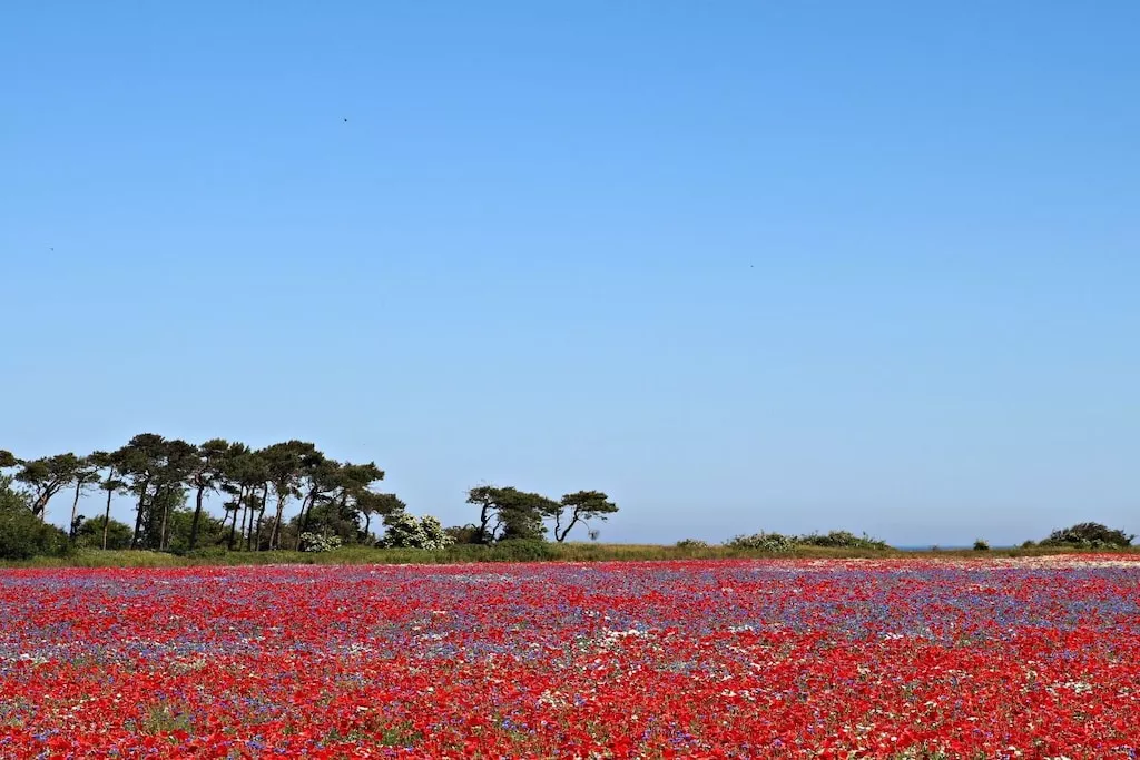 130956-Nicht zugeordnet