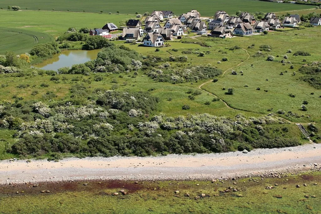 295768-Nicht zugeordnet